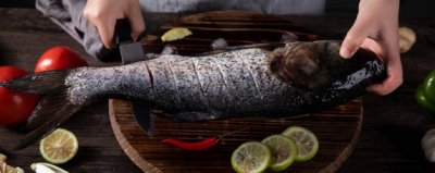 ​公干鱼是什么