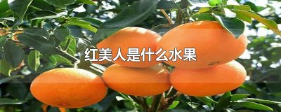 ​红美人是什么水果