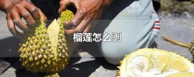 ​榴莲怎么剥