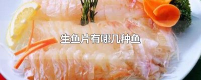 ​生鱼片有哪几种鱼