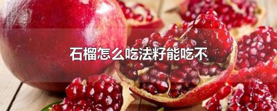 ​石榴怎么吃法籽能吃不