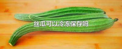 ​丝瓜可以放冷库吗 丝瓜能速冻保存吗
