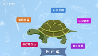 ​巴西龟能吃吗