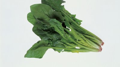 ​菠菜海带可以一起吃吗