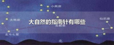 ​大自然的指南针有哪四种 大自然的指南针有哪些呢