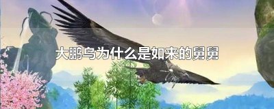 ​大鹏鸟为啥是如来的舅舅 大鹏鸟为什么是如来佛祖的舅舅