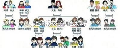 ​姐妹的孩子怎么称呼