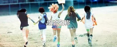 ​组合名称