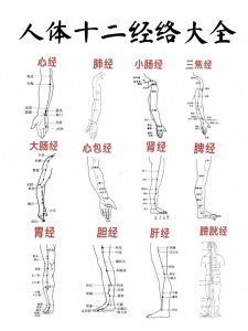 ​老中医总结《12经络顺口溜》，收藏了吧！