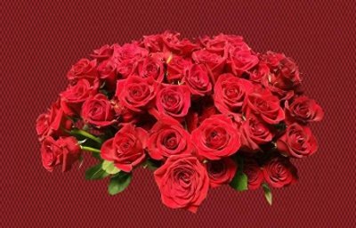 ​情人节的来源