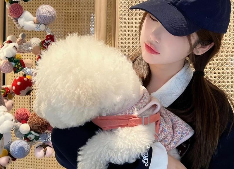  因琐事争端，她把男友论文和资料全删了 …..