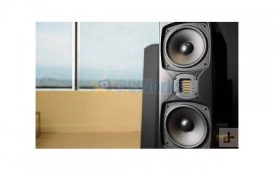 ​如果你越来越不合群，就会懂得“乌鸦定律”