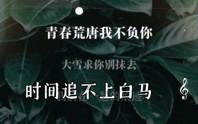 ​时间追不上白马什么歌（有完整歌词介绍吗）