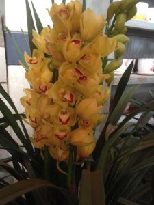 ​画你歌曲原唱(画你——科尔沁夫)