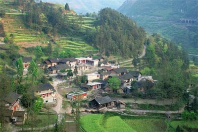 ​我这一生啊都在黑暗里游走是什么歌（我这一生啊都在黑暗里流走歌曲）