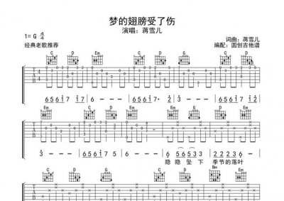 梦的翅膀受了伤歌词(梦的翅膀受了伤的歌词是啥)