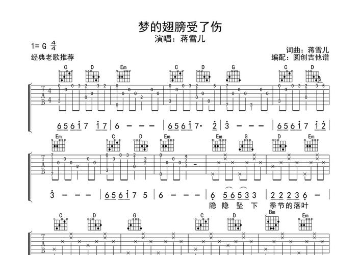 梦的翅膀受了伤歌词（梦的翅膀受了伤的歌词是啥）