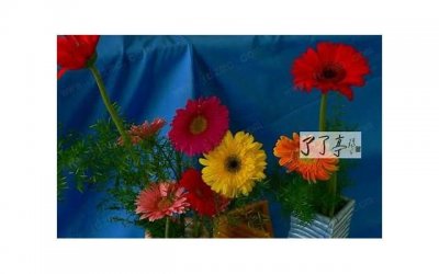 ​孩子还是管管好，惯得太狠以后会后悔的