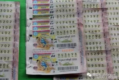 ​泰拳神鸡！武艺高强的泰国斗鸡，原来是这样炼成的！