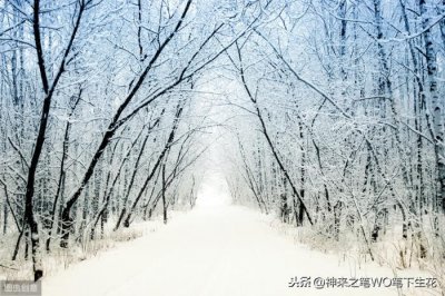 ​塞北的雪歌词（歌词·我爱你塞北的雪）
