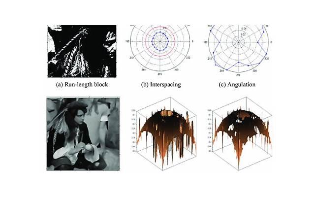 维生素E是否可以修复海绵体功能? 维生素E是否可以修复海绵体功能?