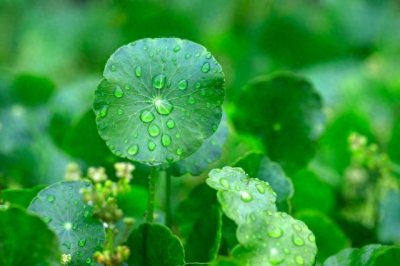 ​如何果断放弃一段感情！