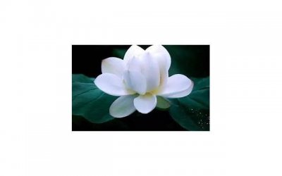 ​女性自慰有什么危害 八大误区知几个