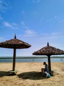 上海碧海金沙景区门票多少钱,上海碧海金沙景区