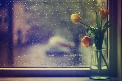 ​红楼梦读后感800字左右，红楼梦读后感范文