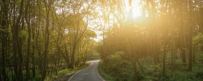 ​蟹爪兰的养殖方法和注意事项君子兰 蟹爪兰的养殖方法和注意事项 – 养殖日记