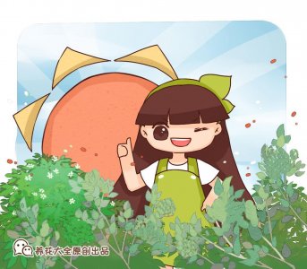 院子永远不长草的方法（杂草全都清光光的6个小要点）