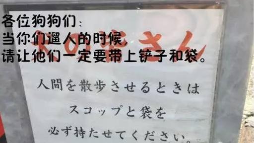 搞笑雷人的标语（奇葩的横幅标语）(5)