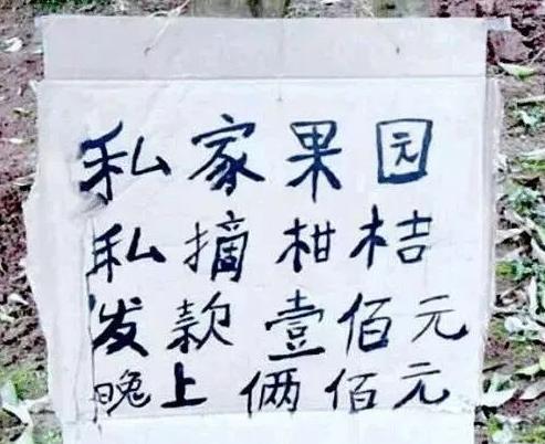 搞笑雷人的标语（奇葩的横幅标语）(9)