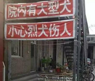 搞笑雷人的标语（奇葩的横幅标语）(14)