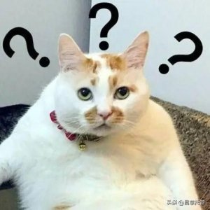 ​进口报关单证 进口报关单证鉴定真伪费用怎么算的