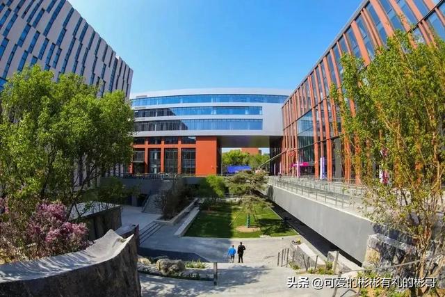 金融管理专业课程表（彬哥解读国内热门金融管理类学院）(5)