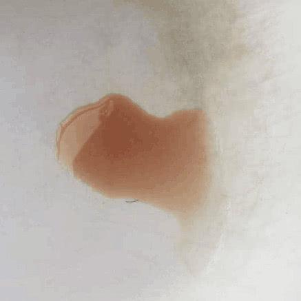 欧弟二胎最新（欧弟宣布怀二胎）(12)