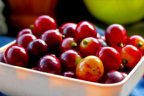 今日立秋吃点啥（今日立秋记得吃这）(7)