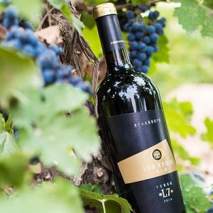 ​啤酒类杂志 啤酒行业研究