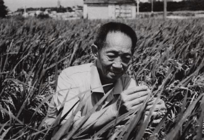 ​一张图看懂袁隆平为我国粮食安全做出的贡献