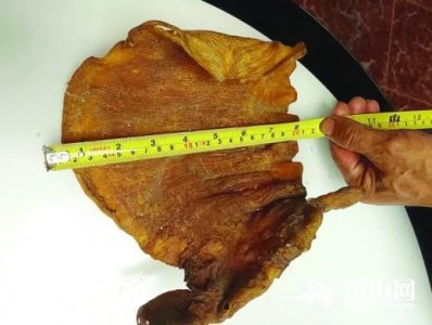 ​为您服务｜市民徐先生有块珍藏了50年的毛鲿鱼鱼胶 他想请大家鉴鉴宝，顺便为鱼