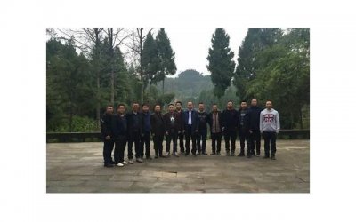 ​真的存在防辐射口罩吗 消除电脑辐射不如养绿植