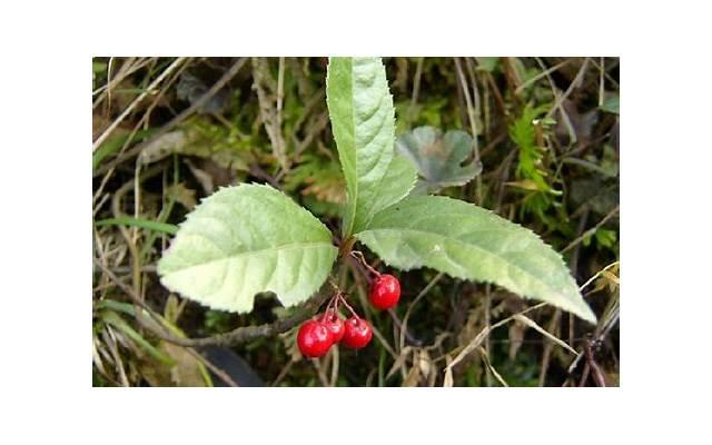浮躁的人有哪些表现（怎样让心静下来不浮躁）