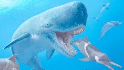 ​地球古生物——利维坦鲸