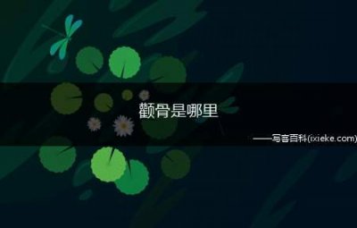 ​颧骨是哪里(颧骨和颧骨有什么区别)