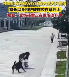 ​触目惊心的恶狗伤人事件接连发生，是狗主人吃饱了撑的，有钱烧的