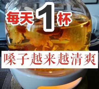 用什么泡水喝润嗓子,什么泡水喝了对嗓子好
