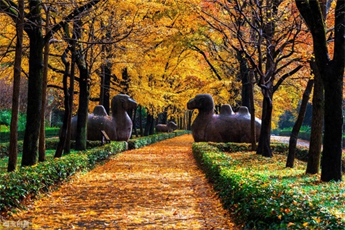 南京适合情侣一起游玩的地方，赶快收藏起来，带女朋友去吧