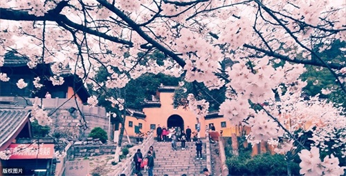 南京适合情侣一起游玩的地方，赶快收藏起来，带女朋友去吧