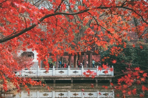 南京适合情侣一起游玩的地方，赶快收藏起来，带女朋友去吧